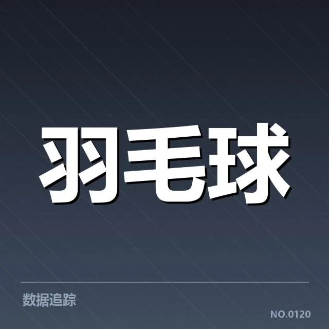 中国羽毛球队训练计划：队伍备战策略有何变化